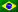 Portugués Brasil