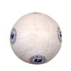 Pelota de Pato_1