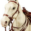 Western_completa 2