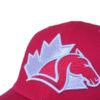 alegria_polo_team_gorra-vert_1